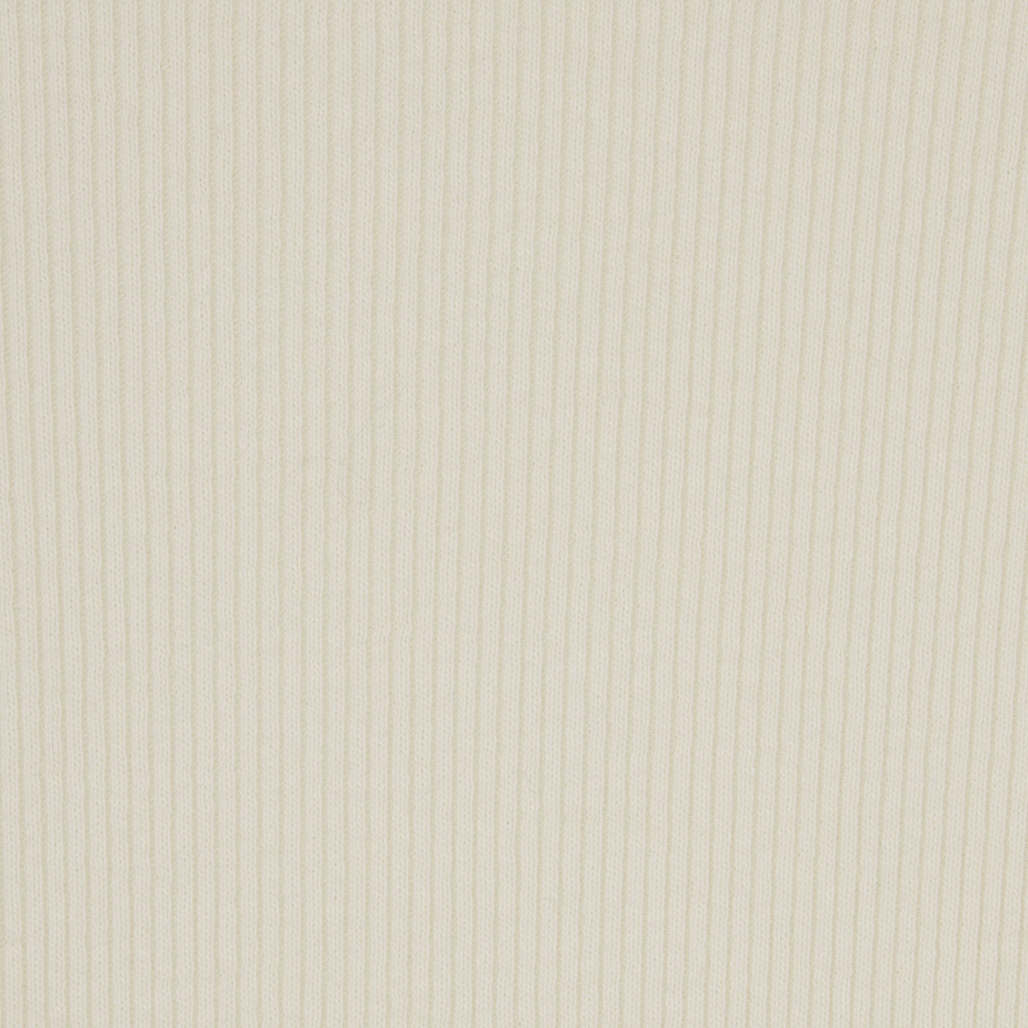 COTTON RIB BRIEF | BONE