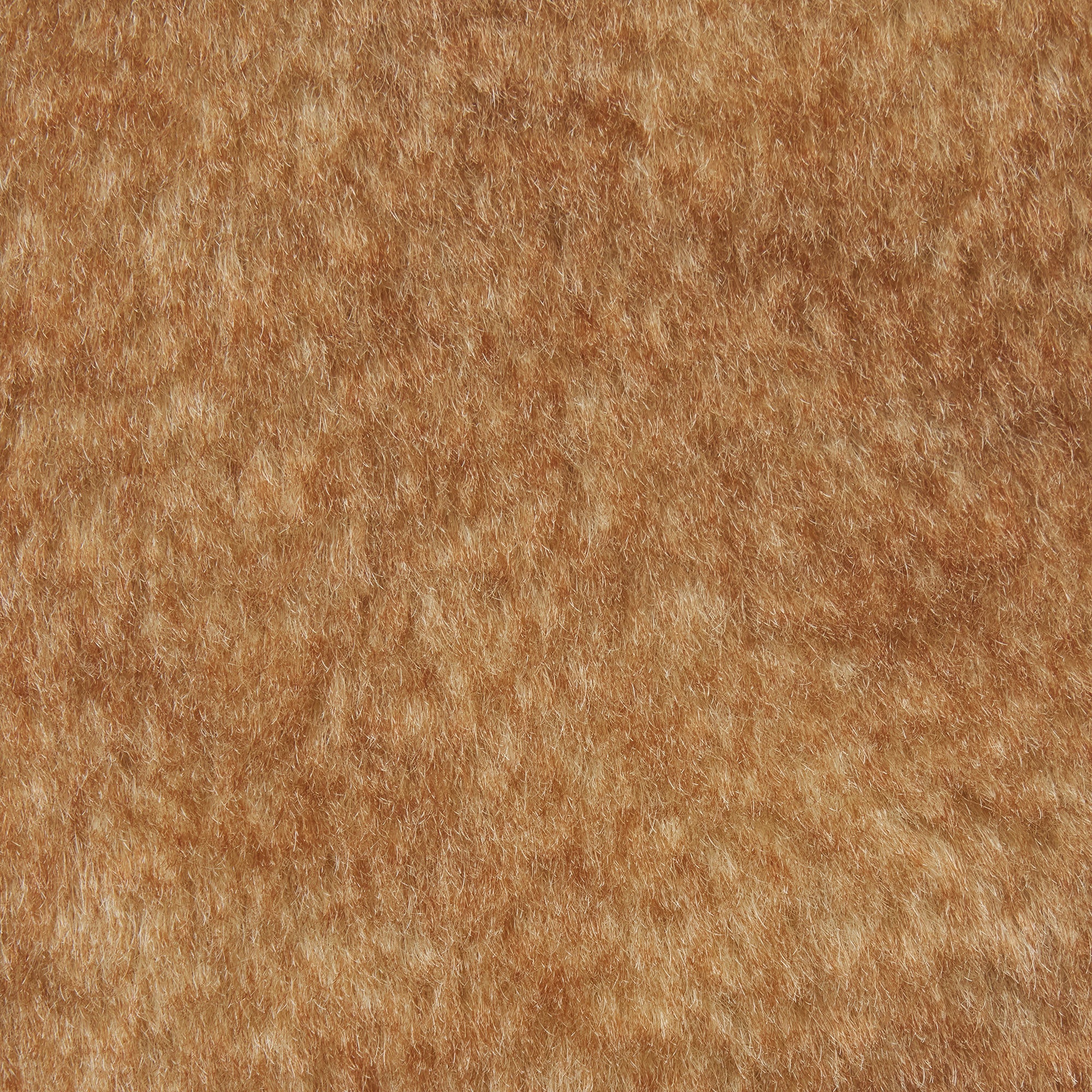 FAUX SHEARLING JACKET | TOASTED LATTE
